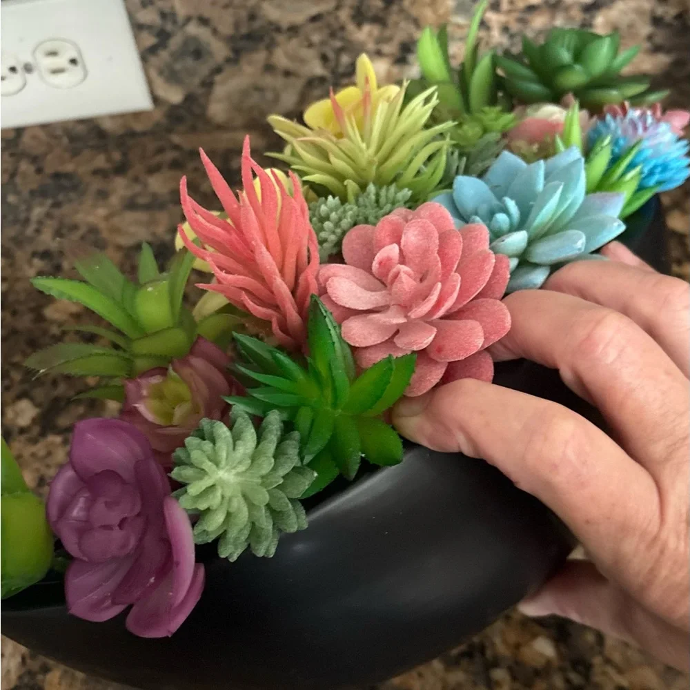 Succulent Arrangement in Black ceramic Bowl for wall